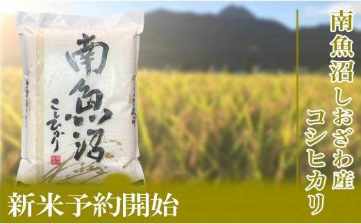 
                  【令和8年産　新米予約】定期便／5kg×12ヶ月 生産者限定 南魚沼しおざわ産コシヒカリ【2026年10月上旬から1ヶ月以内に順次発送予定】
                
