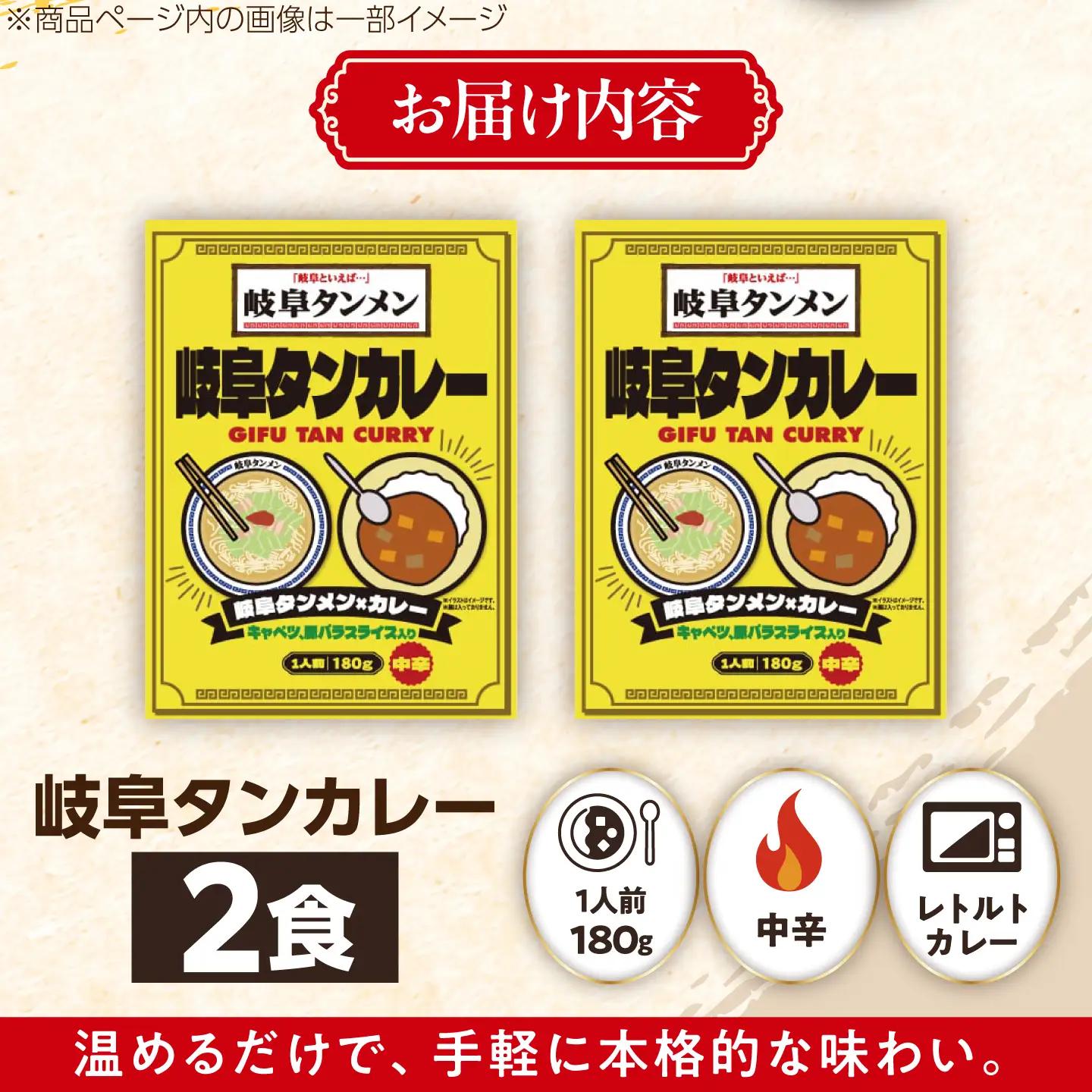 【岐阜タンメン監修】 岐阜タンカレー 180g×2食 セット / レトルトカレー カレー curry 保存食 防災食 恵那市 / テンポイント[AUEU039]
