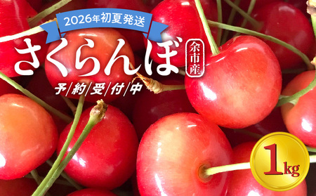 【先行予約：2026年初夏発送】さくらんぼ 毎年大好評！こだわりの東谷農園 余市産 さくらんぼ 1kg_Y037-0347