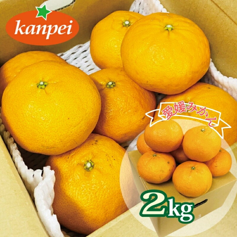 【ふるさと納税】訳あり 甘平 家庭用 みかん 愛媛 約2kg 人気 サイズミックス 柑橘 伊予市｜B234