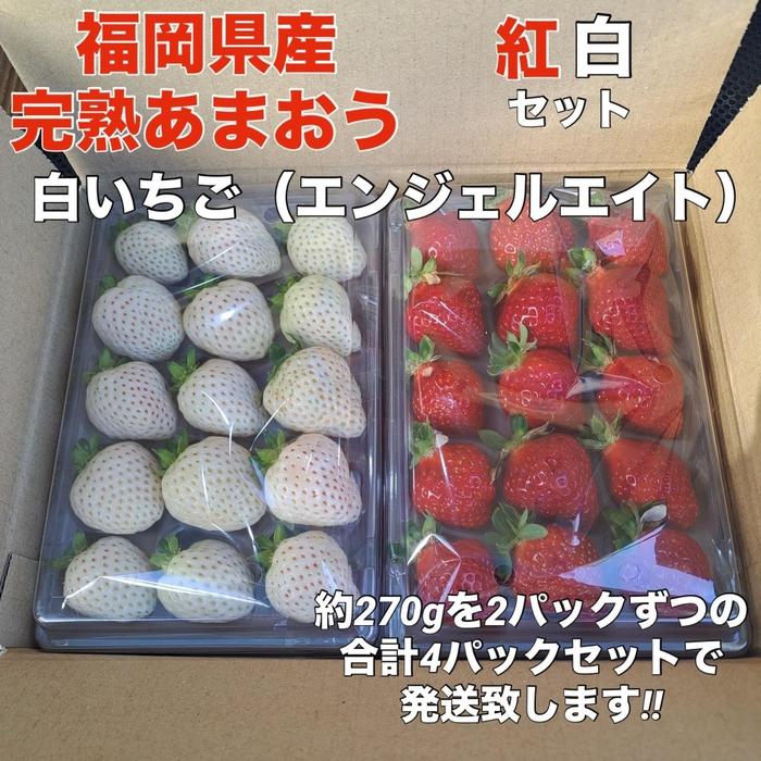 【ふるさと納税】福岡県産完熟あまおう:白いちご（エンジェルエイト）各2パック（約270g×計4パック） | フルーツ 果物 くだもの 食品 人気 おすすめ 送料無料