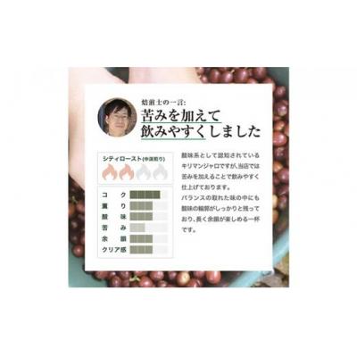 ふるさと納税 堺市 【豆】スペシャルタンザニア・キリマンジャロ キゴマ キボー ディープブルー AA600g |  | 02