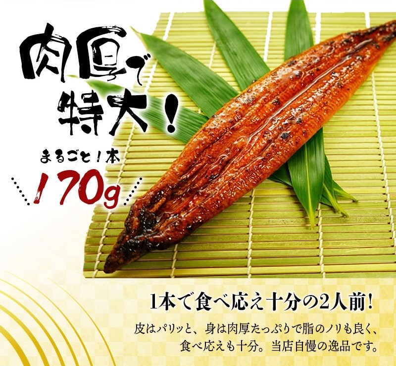 【全6回定期便】大型サイズ ふっくら柔らか 国産うなぎ蒲焼き 2尾×12回 計6尾 約2040g / 定期便 うなぎ 鰻 国産 蒲焼 蒲焼き うな重 うな丼 ひつまぶし たれ 人気 贈答 贈り物 ギフ