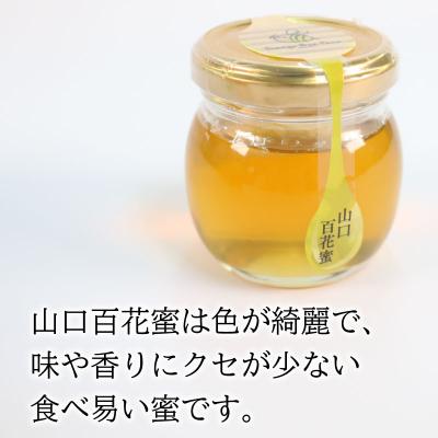 ふるさと納税 下関市 はちみつ 蜂蜜 国産 山口 百花蜜 180g (90g×2個) 下関 ES104 |  | 01