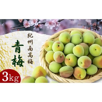 ふるさと納税 田辺市 青梅【紀州南高梅】 3kg 5月より順次発送予定 / 生梅【tcs021】