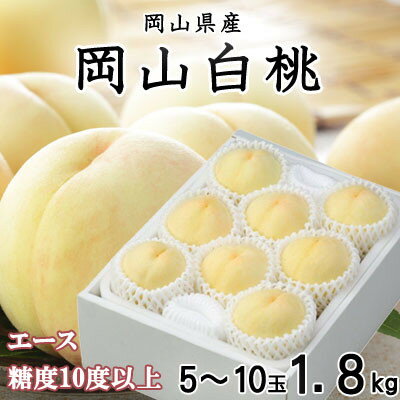【ふるさと納税】【先行予約】岡山白桃 エース 5～10玉 1.8kg 岡山県産【配送不可地域：離島・北海道・沖縄県】【1305706】