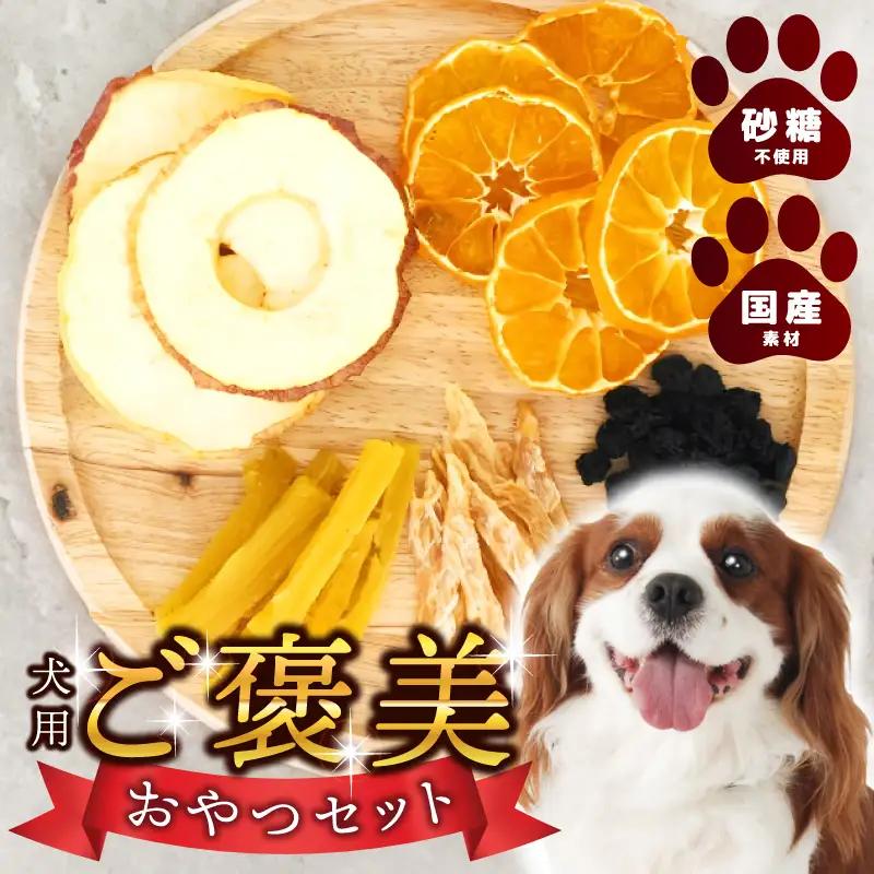 ペットフード 犬用おやつ ペットフード ドライフルーツ