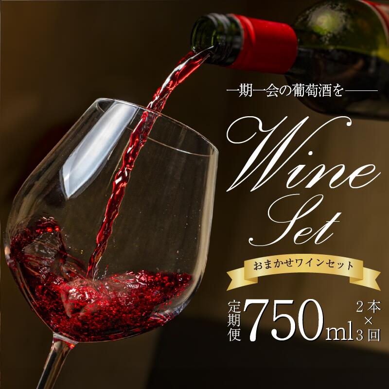 【ふるさと納税】 ワイン おまかせ 750ml 2本 セット 定期便 3回 4月 7月 12月 発送 Natan 葡萄酒 醸造所 酒 国産 国産ワイン 国産 プレゼント 贈答用 ギフト 記念 グルメ 徳島県 三好市 みよし ナタン NATAN