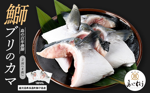 
            獅子島産 百年漁師の鰤 カマ (2対) 4個【島のごちそう】gochi-1324
          