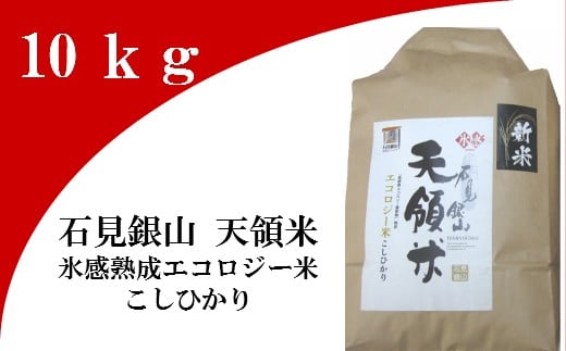 
石見銀山天領米（氷感熟成エコロジー米こしひかり）10kg【コシヒカリ 10kg こしひかり お米 精米 島根県産 大田市産 米 氷感熟成 エコロジー米 減農薬 減化学肥料】
