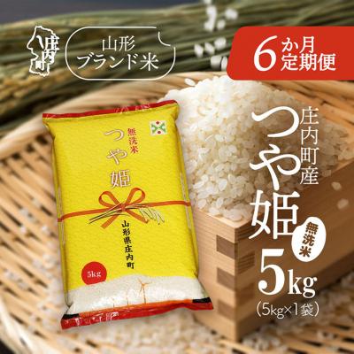 ふるさと納税 庄内町 ＜4月下旬発送＞庄内米6か月定期便!つや姫無洗米 5kg(入金期限:2026.3.25)