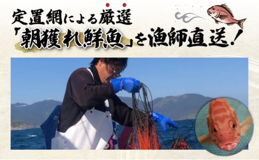 KU070【先行予約受付中】宮崎県串間産 朝獲れ鮮魚セット計約3~4kg(4~5種) 定置網による厳選「朝獲れ鮮魚」を漁師直送! 【合同会社Houryoumaru】