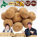 【ふるさと納税】北海道 幌加内産 じゃがいも（男爵）約10kg 笠井ファーム　 野菜 根菜 ポテト 北海道産 北海道のジャガイモ 食べ物 食品 国産 日本産 ホクホク 旬の味 　お届け：2024年9月下旬～12月中旬