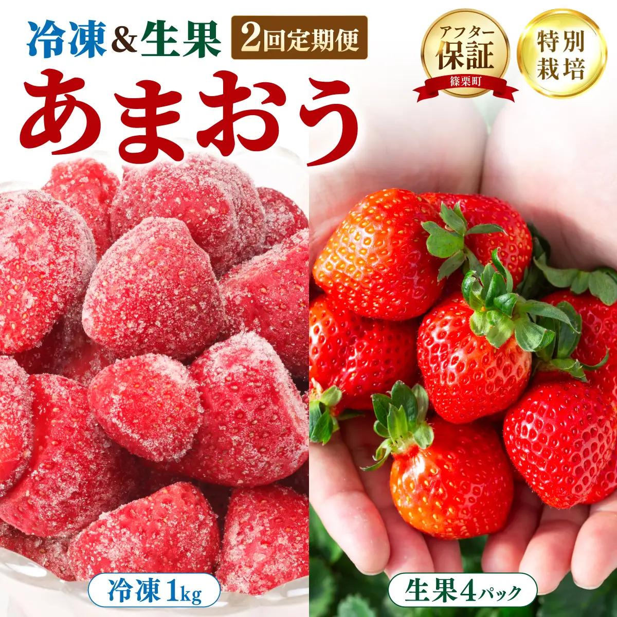 【冷凍＆生果の定期便】福岡県産 特別栽培 あまおう 冷凍あまおう1kg  生果サイズいろいろMIX 約1140g（約285g×4パック）