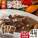 【ふるさと納税】【12回定期便】薬膳スパイスビーフカレー 4食（200g×4） /自然庵 [UCQ009] カレー 冷凍カレー レトルト スパイスカレー 個包装 定期便