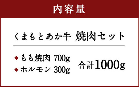 ＜ R8年熊本地震復興支援 ＞くまもとあか牛 焼肉 セット 合計1000g 2種 モモ ホルモン