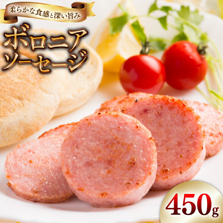 【ふるさと納税】 ソーセージ ボロニアソーセージ450g [吉田ハム工場 静岡県 吉田町 22424674] ボロニア 国産 豚肉 加工肉 肉 ハム おかず 惣菜 おつまみ ギフト お中元 お歳暮