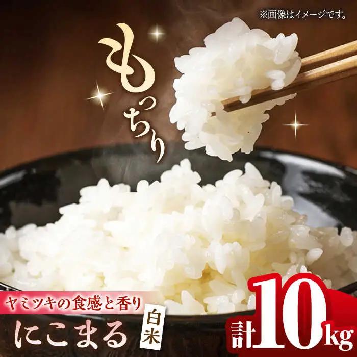 にこまる 白米 計10kg（5kg×2袋）【竹下農園】[ZEL004]