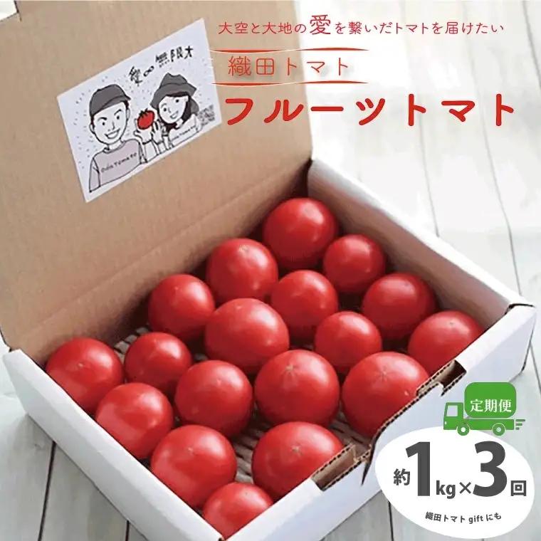 ≪2027年1月頃～発送≫【ふるさと納税】＜フルーツトマト 定期便 織田トマト 約1kg ×3回 計3kg 真っ赤なフルーツ太陽＞高知県 佐川町 サイズ混合 ＜毎年2月末頃まで申込受付＞【1月頃～5月頃の間に3回お届け】