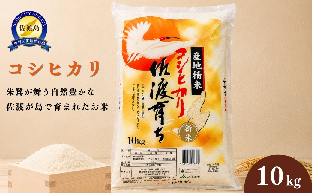 
                  【令和7年産 コシヒカリ 10kg】佐渡産コシヒカリ「佐渡育ち」精米10kg 一等米 高野屋 | 新潟県産コシヒカリ 新潟産コシヒカリ 新潟コシヒカリ 佐渡島産コシヒカリ 新潟県産こしひかり 佐渡産こしひかり お米 米 こしひかり 白米 精米 ブランド米 おこめ コメ 10キロ にいがた さど 新潟県 佐渡市
                