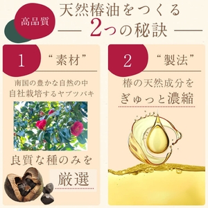 【A62002】鹿児島県肝付町産椿オイル(120cc×2本) 鹿児島 国産 椿油 つばき油 ツバキオイル ヘアオイル ネイルオイル 天然 国産 食用油 調味料 天ぷら ギフト プレゼント お中元 お歳