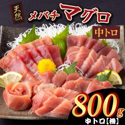 ふるさと納税 室戸市 【天然メバチマグロ _ 中トロ】800g