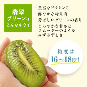 訳あり翡翠グリーン3kg（小玉、擦り傷、日焼け） 数量限定 希少 国産 甘い 氷見キウイランド 富山県 氷見市
