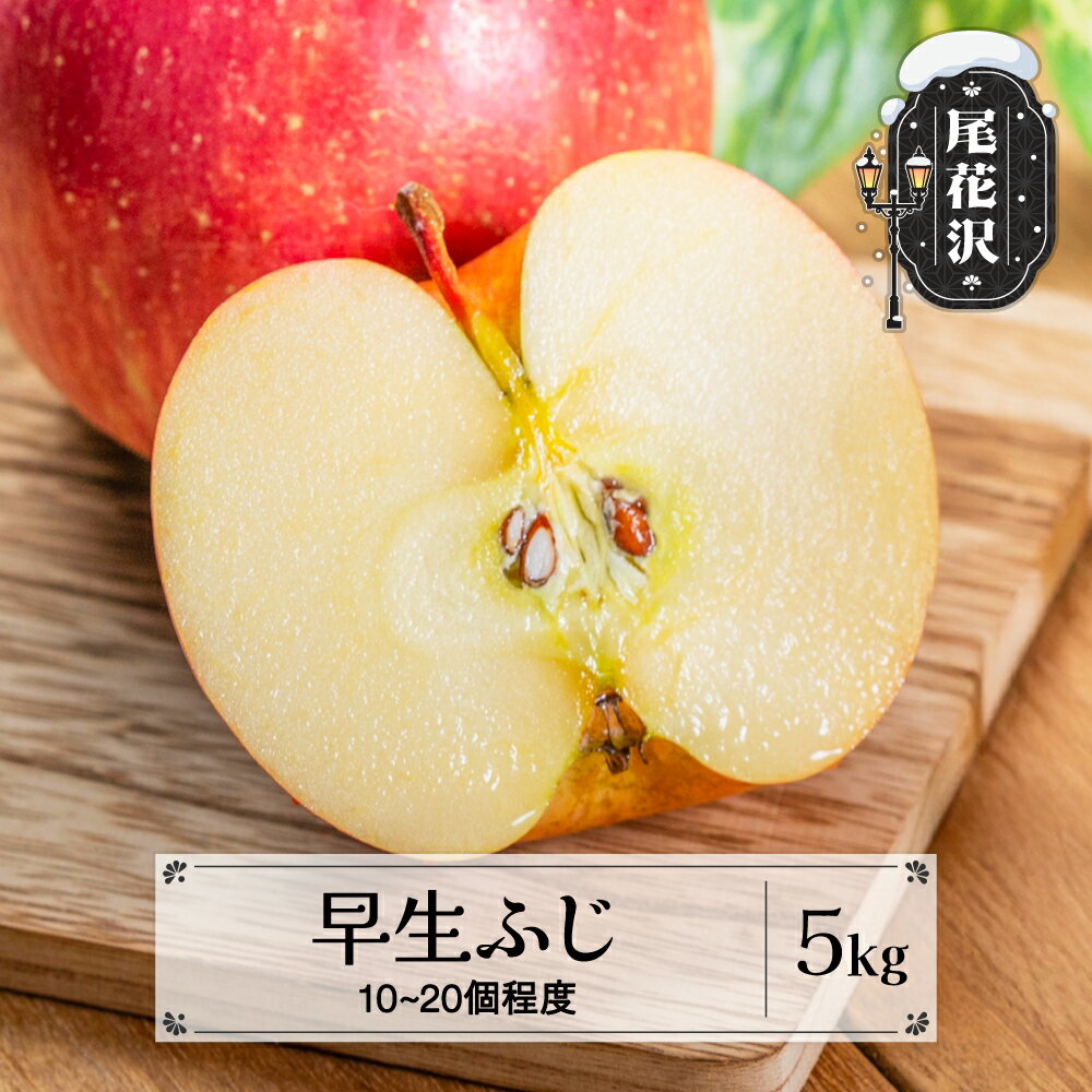 【ふるさと納税】先行予約 りんご 早生ふじりんご 秀品 5kg (10~20個程度) 9月下旬~10月下旬頃発送 山形県産 フルーツ 果物 くだもの リンゴ 2025年産 令和7年産 佐竹物産 sb-riwfx5※沖縄・離島への配送不可
