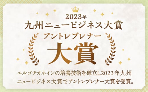 【4回定期便】お米と米?だけで作った生きた酵素！ さきちの『生あまざけ』ファミリーサイズ 550ｇ×6本【株式会社 咲吉】[OBF018] / 甘酒 生甘酒 酵素甘酒 健康甘酒 なまあまざけ 酵素 米