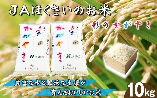鴻巣市産「彩のかがやき」5kg×2（10kg） ／ 令和7年産 2025年産 米 精米 お米 コメ こめ おこめ kome okome 国産米 10キロ ご飯 ブランド米 美味しい さっぱり 甘み おにぎり お弁当 家庭用 和食 取り寄せ グルメ 埼玉県 No.571