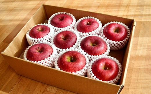 
            樹上完熟 ふじ 約3kg リンゴ ギフト品質 林檎 果物 フルーツ 産地直送 常温便 送料無料 岩手県 一関市
          