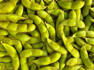 【 2026年産 数量限定 】青森の定番 幻の毛豆 約1kg【 9月 クール便発送 】青森県鰺ヶ沢町産 ※オンライン決済のみ 野菜 枝豆 大粒 甘みが強い 豊かな香り コク ほっくり おつまみ 料理 