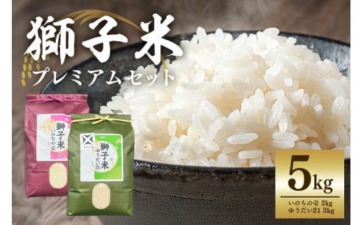 【令和7年産】獅子米限定プレミアムセット（限定10セット）プレミア5 お米 米 5kg 食べ比べ セット 産地直送 茨城県 石岡市 B02-085