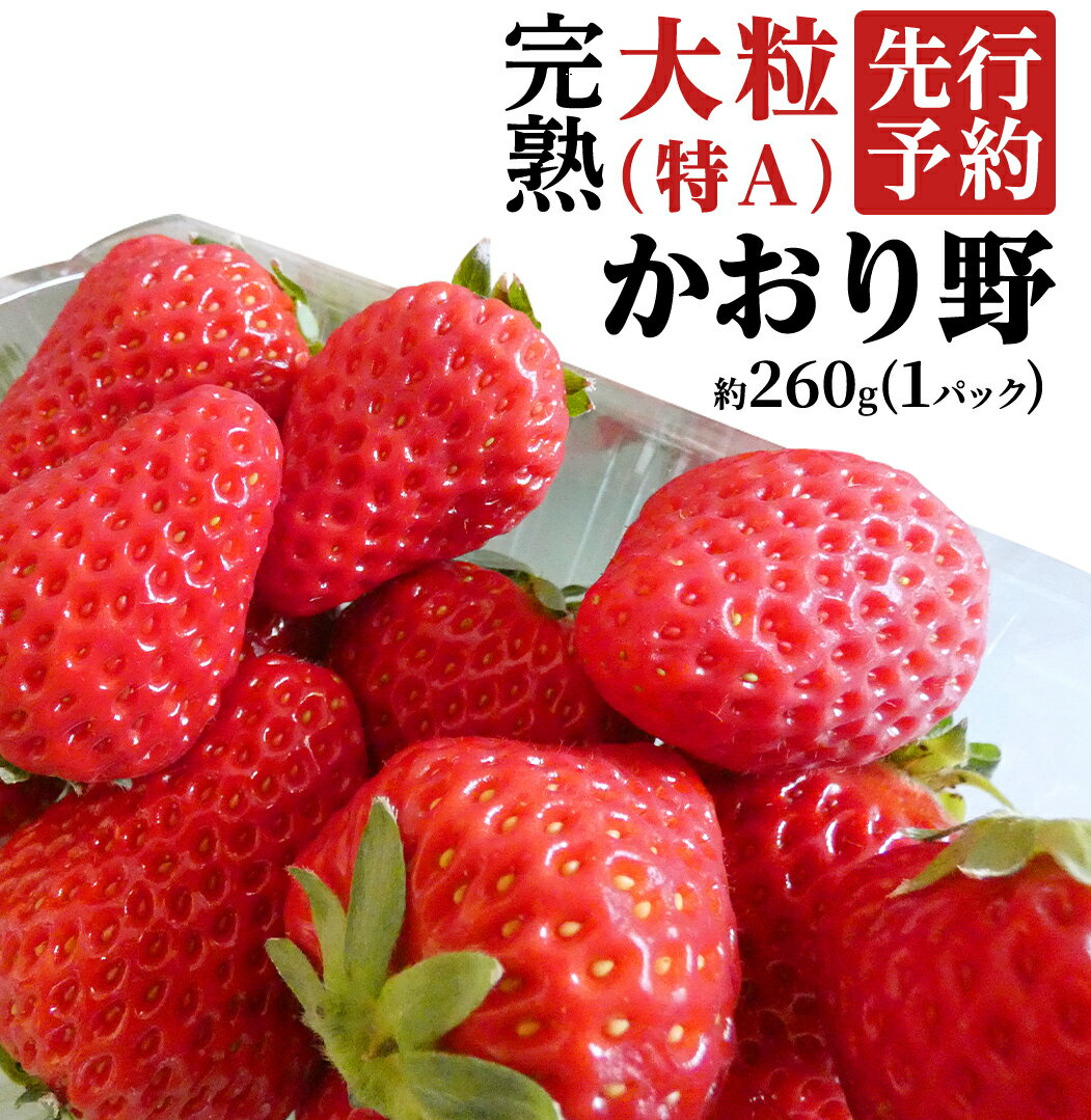 【ふるさと納税】 《 2026年1月上旬発送開始 》 完熟 かおり野 約260g×2～4パック 国産 いちご イチゴ 苺 果物 フルーツ 茨城県産 KEK