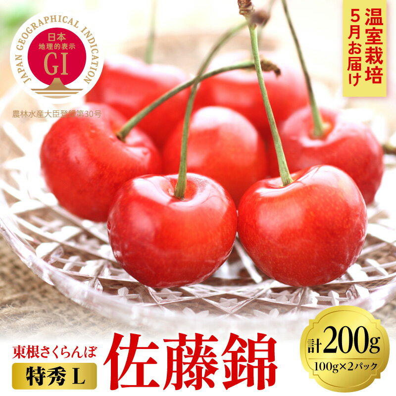 【ふるさと納税】2026年産【5月お届け】GI東根さくらんぼ 佐藤錦 特秀品 Lサイズ200g ( 100gx2パック入り )フルーツ 果物 くだもの サクランボ チェリー 小分け 箱入り 化粧箱 期間限定 冷蔵配送 ご当地 特産 産地 直送 お取り寄せグルメ 東北 山形県 東根市