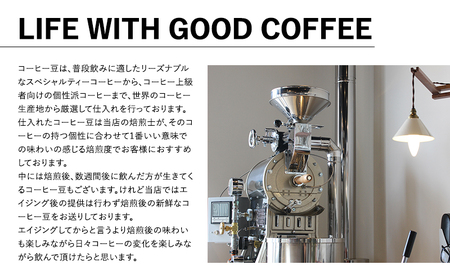 787 Nanohana Coffee Roaster ８種お任せセット 各100g(豆or粉) 浅煎り 中煎り 深煎り コーヒー 珈琲 おすすめ 人気 豆