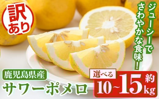 
            ＜先行予約受付中！2026年1月以降順次発送予定＞＜内容量が選べる！＞訳ありサワーポメロ(約10～15kg) 国産 果物 フルーツ 柑橘 甘味 酸味 デザート おやつ【松永青果】
          