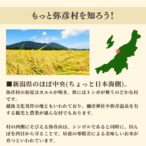 新潟県弥彦村石井農園 令和7年産 こしいぶき＜玄米 10kg＞ | 新潟県産