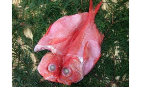 （冷凍） 金目鯛 干物 セット 浜風 1222 ／ 山田屋海産 あじ いか タイ 煮付 味噌漬け 静岡県 東伊豆町