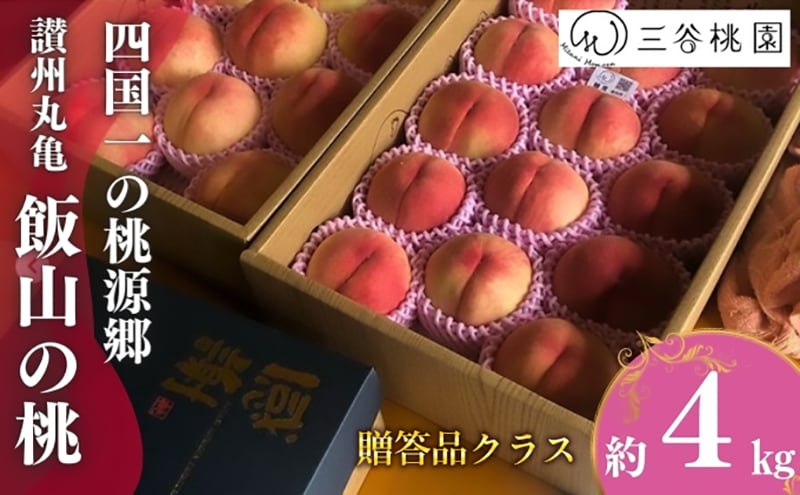 
            贈答用 飯山の桃 4kg（10玉～13玉） 桃 モモ 果物 フルーツ ピーチ ゼリー アイス ジェラート ケーキ ジュース ジャム タルト デザート スイーツ おやつ 人気 おすすめ お取り寄せ グルメ ギフト プレゼント 送料無料 香川県 丸亀市 三谷桃園
          