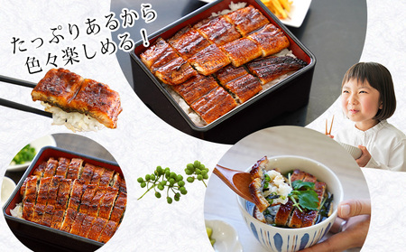 三河産うなぎ「蒲焼き冷凍×5尾（650ｸﾞﾗﾑ以上：100ｸﾞﾗﾑ～160ｸﾞﾗﾑ内）＋鰻肝串2本付き×2袋」・A184