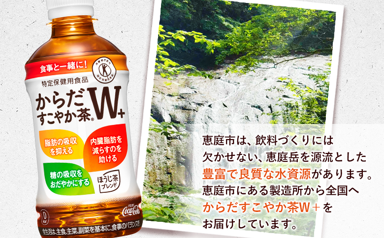 【定期便：8回（毎週発送）】からだすこやか茶W+ 350mlPET×24本 コカ・コーラ からだすこやか茶 お茶 トクホ 特保 北海道 ふるさと納税 恵庭 定期便 毎週8週 定期 8回からだすこやか茶