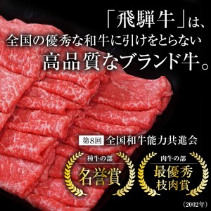 A5飛騨牛切り落とし500g