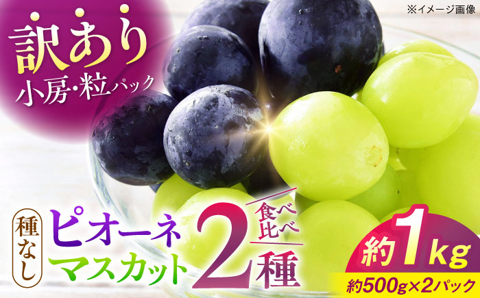 
                  ＜9月中旬から順次発送＞ぶどうピオーネ&シャインマスカット 訳あり 2種セット 計約1kg（各約500g×1パック）露地栽培 ぶどう 果物 ピオーネ マスカット フルーツ 葡萄 ブドウ 甘い デザート おいしい 不揃い 果肉 果汁 そのまま おやつ アレンジ 子ども 大人 家庭用 贈答 プレゼント ギフト 産地直送 夏 秋 旬 三次市/西田ぶどう園 [APCM008]
                