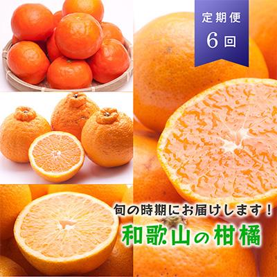 ふるさと納税 湯浅町 【発送月固定定期便】季節の柑橘定期便A【フルーツ定期便】【和歌山県有田】全6回