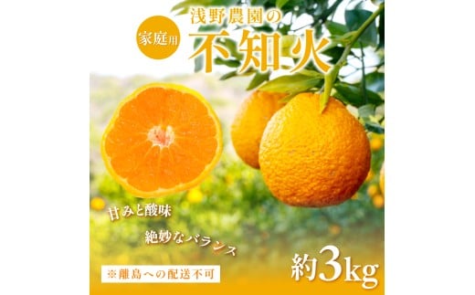 【先行予約】【家庭用】不知火 約3kg ※離島への配送不可（2026年2月中旬頃より順次発送予定） 【 ふるさと納税 人気 おすすめ ランキング 柑橘 みかん ミカン フルーツ 果物 でこぽん デコポンと同品種 愛媛県 伊方町 送料無料 】IKTAC003