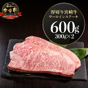 【ふるさと納税】宮崎県産 厚切り 宮崎牛 サーロインステーキ 600g（300g×2）| 宮崎牛 牛肉 肉 国産牛 和牛 厚切り ステーキ 冷凍 小分け 国産 国産牛 贈答用 贈答 記念日 誕生日 内閣総理大臣賞4大会連続受賞 和牛オリンピック |