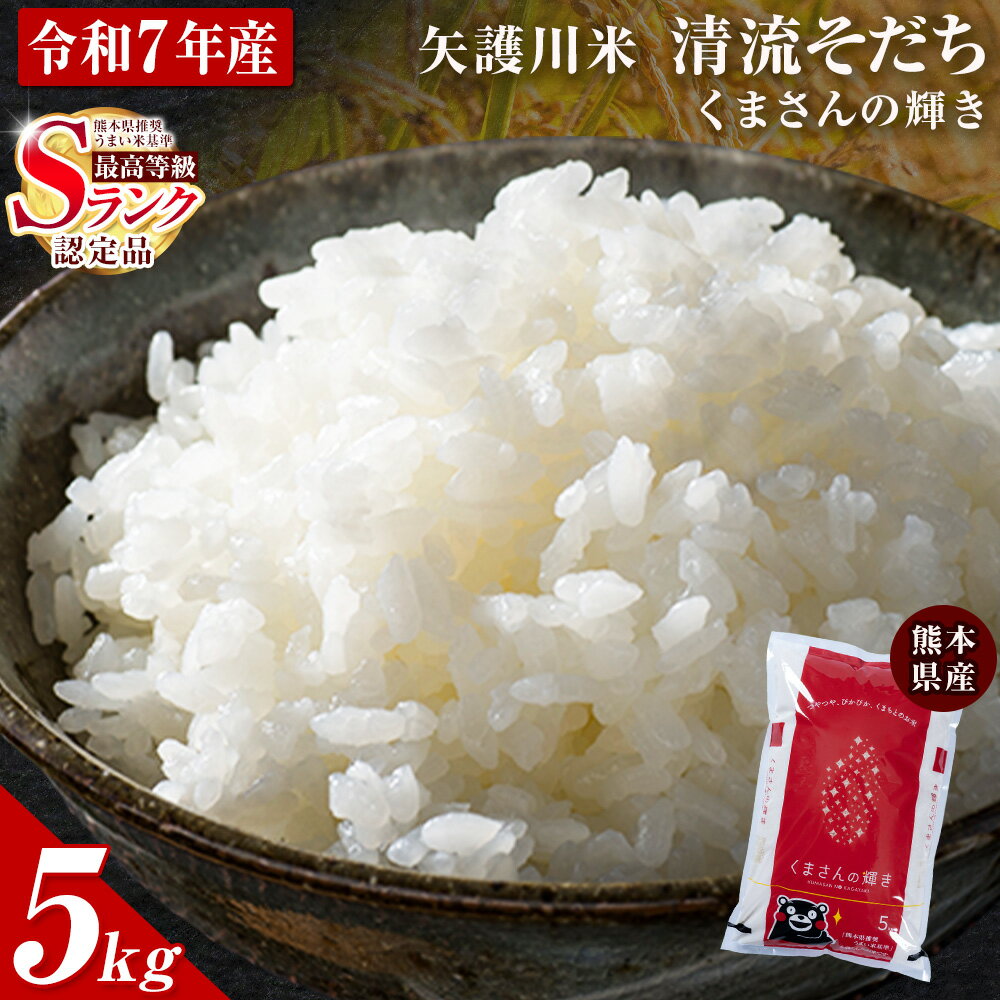 【ふるさと納税】令和7年産 矢護川清流そだち(くまさんの輝き) 5kg 大津町矢護川おいしい米作り研究会 お米 熊本県 大津町《60日以内に出荷予定(土日祝除く)》