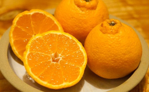 【2026年12月からの4ヶ月定期便】 先行予約 ポンポンパック 計4箱 約3～4kg×4回 贈答用 果物 くだもの フルーツ 柑橘 みかん ポンカン 不知火  宇城市産 ぽんかん しらぬい フルーツ