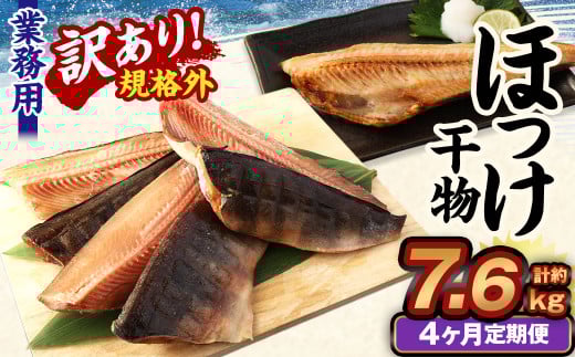 【4ヶ月定期便】【訳あり規格外】 業務用 ほっけ干物 1.9kg